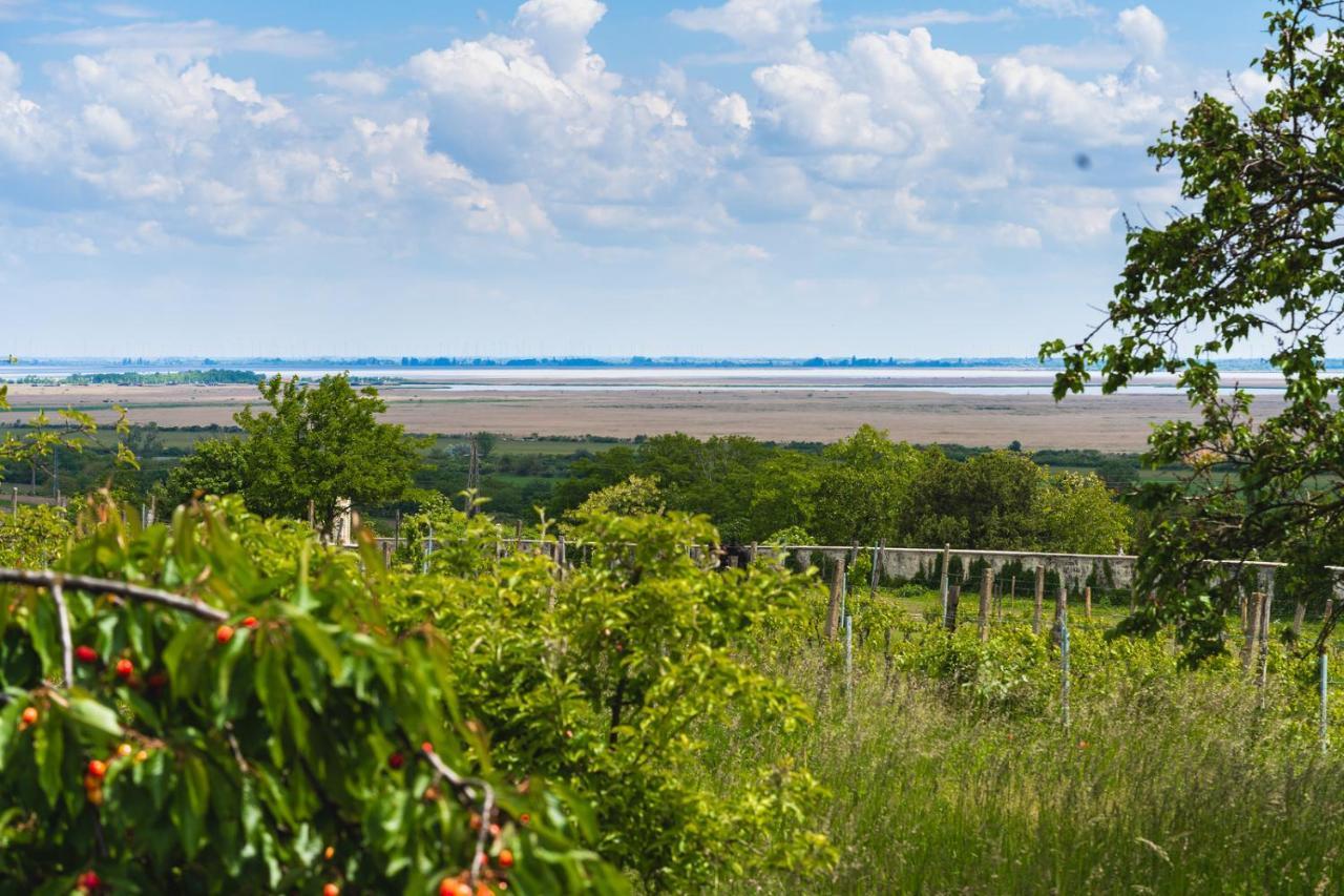 Kofejto Haza Villa Fertőrákos Bagian luar foto